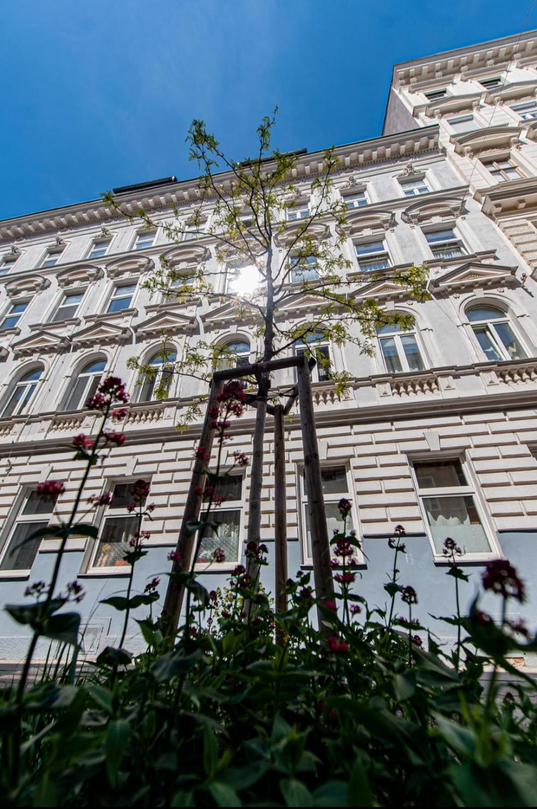 Vienna My City Apartment Garden View エクステリア 写真